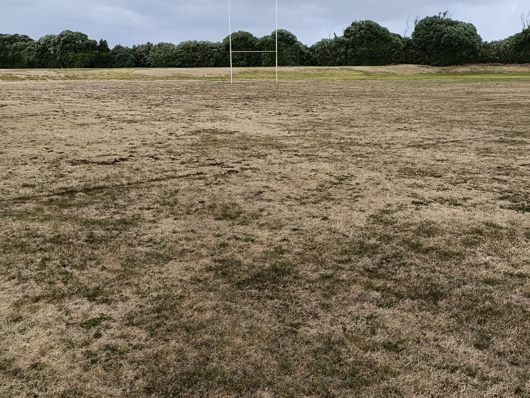 Patea Domain sports field