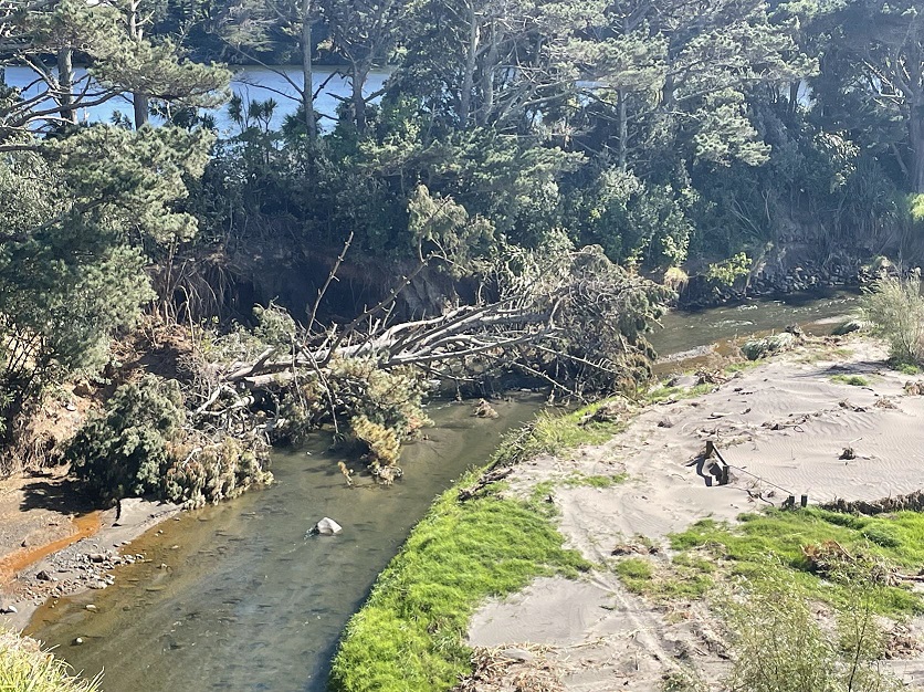 The Waiaua River