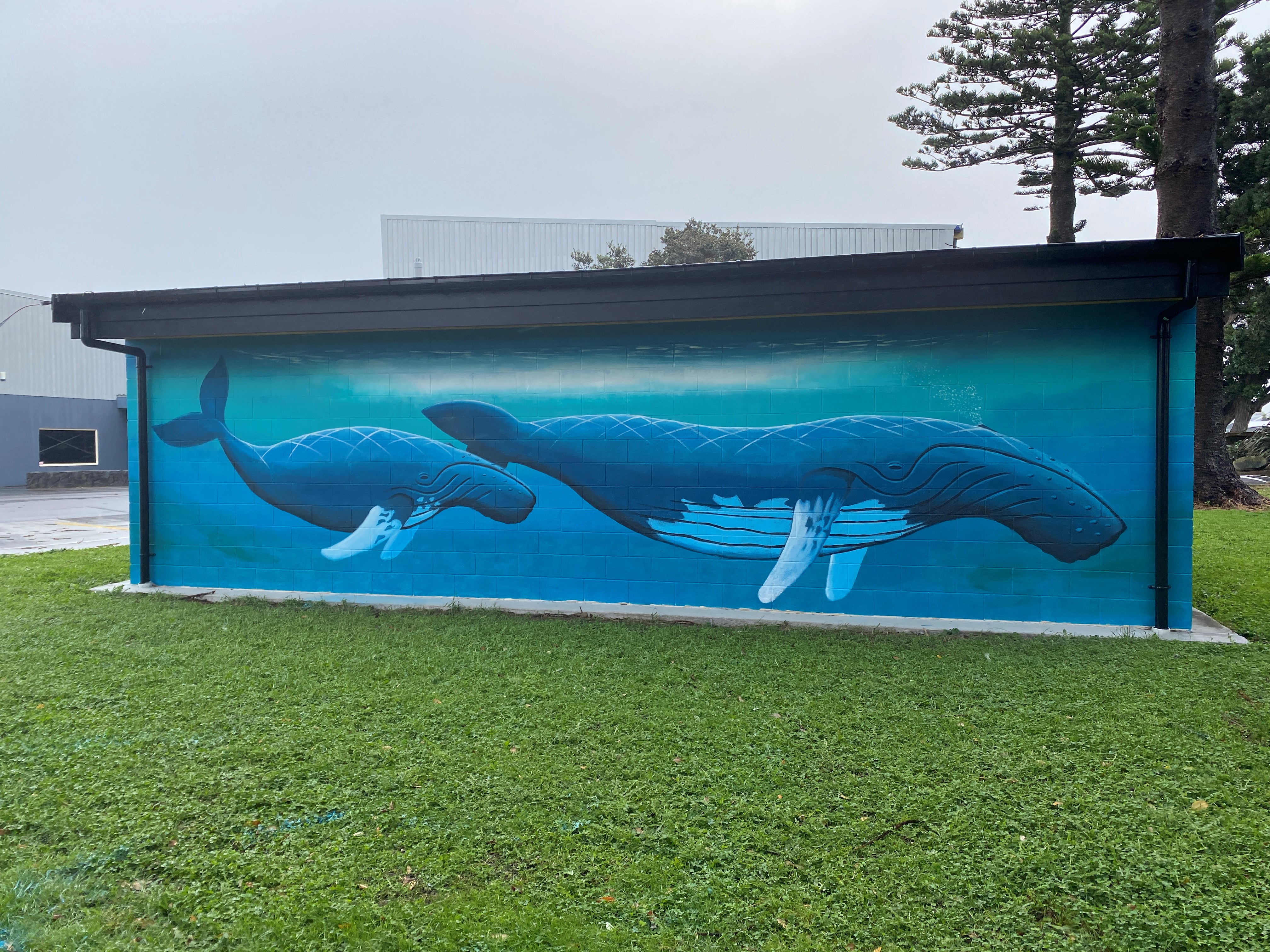 Whale mural at Opunake Event Centre